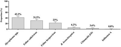 Feline respiratory disease complex: insights into the role of viral and bacterial co-infections